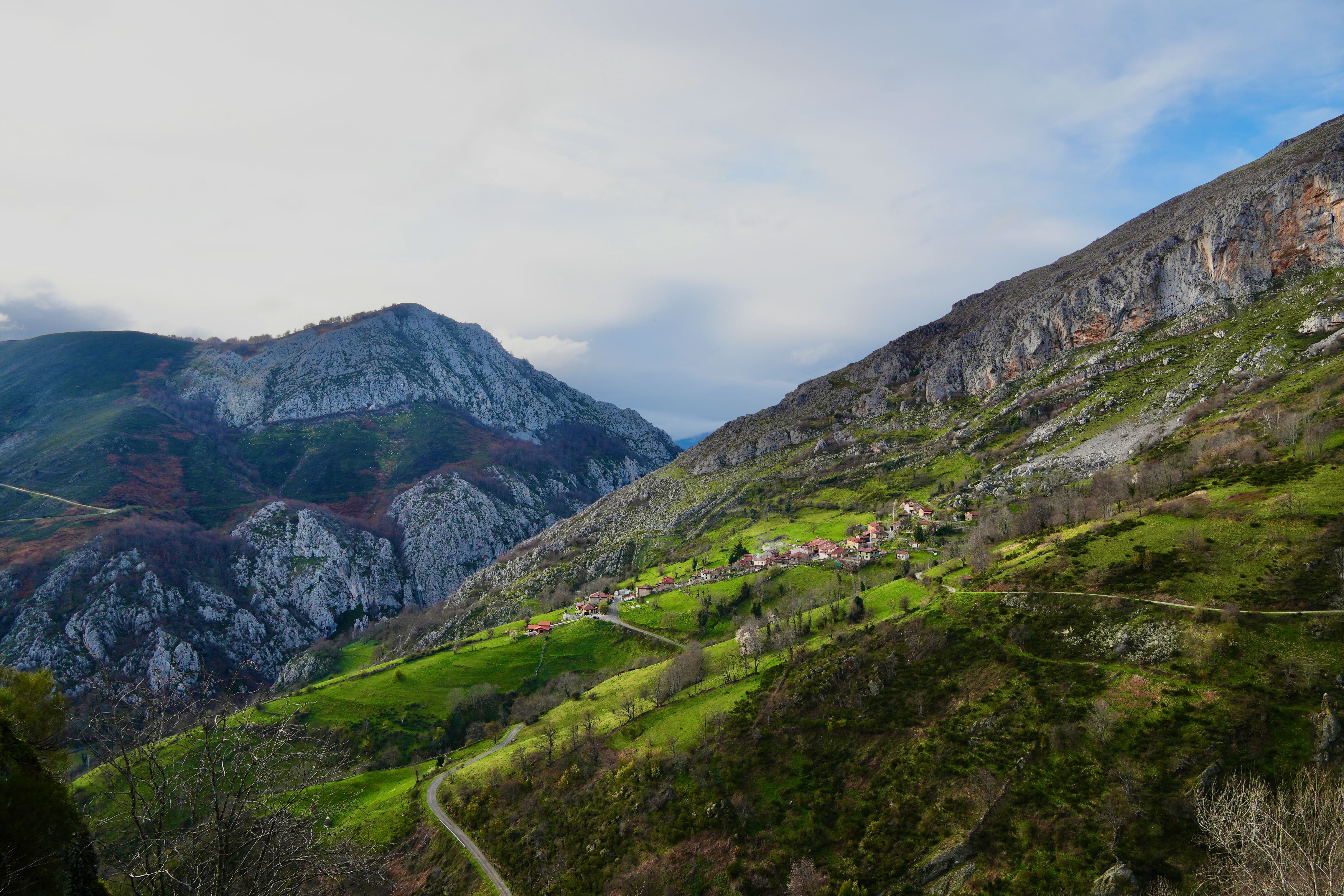 Ruta del Urogallo desde Villa de Sub: una ventana al Valle del Privilegio  (Teverga) – Montaña y Corazón